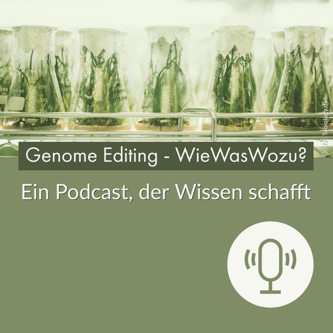 Häufig gestellte Fragen (5) beantwortet von Prof. Dr. Andreas Weber und Dr. Götz Hensel