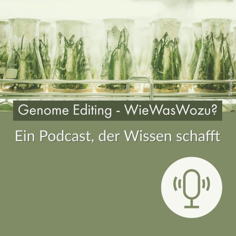 Genome Editing – WieWasWozu?